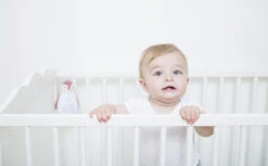 Zazu Zoe De Pinguin Roze 3 In 1 Muziekdoosje ZA-ZOE-03 -Dirkje || Jollein || bébé-jou Verkoopwinkel 30685085644 974ee59458 o 2