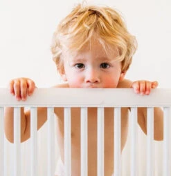 Prince Lionheart Crib Bed 2 Cm Randbeschermer Ledikant 5207 -Dirkje || Jollein || bébé-jou Verkoopwinkel 5207c