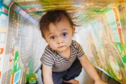 Prince Lionheart Playmat City/Zoo Opvouwbaar Speelkleed 7765 -Dirkje || Jollein || bébé-jou Verkoopwinkel 999999 049345002119 6 4