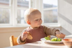 Bibs Overall Woodchuck Slab 4000247 -Dirkje || Jollein || bébé-jou Verkoopwinkel Bibs Overall Woodchuck Slab 4000247 3