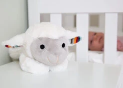 Zazu Liz Het Lammetje Heartbeat Knuffel Met Geluid Za-Liz-01 -Dirkje || Jollein || bébé-jou Verkoopwinkel MamaLoes Liz2 4
