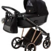 Adamex Belissa Special Edition Black/Rose 2-in-1 Kinderwagen PS-571 -Dirkje || Jollein || bébé-jou Verkoopwinkel adamex belissa special edition black rose 2 in 1 kinderwagen ps 571 1920x1920