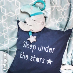 Baby Ono Mint Maan Muziekdoosje 610 -Dirkje || Jollein || bébé-jou Verkoopwinkel baby ono mint maan muziekdoosje 610 sfeer