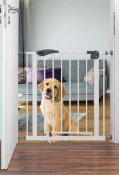 Babygo Safety Gate Black Traphek Klemhek 4052 18 Babygo Safety Gate Black Traphek Klemhek 4052 -Dirkje || Jollein || bébé-jou Verkoopwinkel babygo safety gate traphek klemhek 2 1