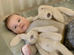 Happy Horse Rabbit Richie Beige 28 Cm No. 1 Knuffel 133264 8 Happy Horse Rabbit Richie Beige 28 Cm No. 1 Knuffel 133264 -Dirkje || Jollein || bébé-jou Verkoopwinkel beige rabbit richie sfeerfoto