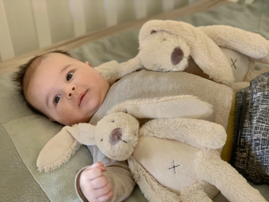 Happy Horse Rabbit Richie Beige 28 Cm No. 1 Knuffel 133264 5 Happy Horse Rabbit Richie Beige 28 Cm No. 1 Knuffel 133264 - Afbeelding 3