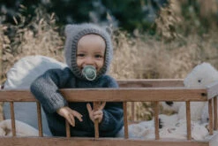 Bibs Try-it Sage 0-6 Mnd 4 Stuks Fopspenen 91343 -Dirkje || Jollein || bébé-jou Verkoopwinkel bibs de lux silicone fopspeen 2 3