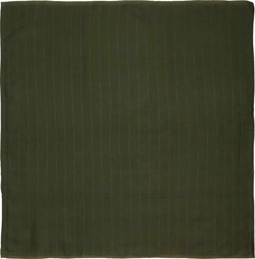 Blush & Blossom Dinosaurus 70 X 70 Cm 6 Stuks Hydrofiel Luiers TR-BB443413 - Afbeelding 8