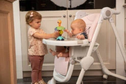 Bo Jungle B-Suction Toy Smart Owl Kinderstoel Speelgoed B910810 -Dirkje || Jollein || bébé-jou Verkoopwinkel bo jungle b suction toy smart owl kinderstoel speelgoed b910810 7