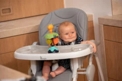 Bo Jungle B-Suction Toy Smart Owl Kinderstoel Speelgoed B910810 -Dirkje || Jollein || bébé-jou Verkoopwinkel bo jungle b suction toy smart owl kinderstoel speelgoed b910810 8