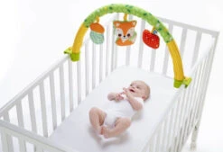 Chicco 3-in-1 Activity Babygym Speelkleed C104710 -Dirkje || Jollein || bébé-jou Verkoopwinkel chicco 3 in 1 activity babygym c104710 3