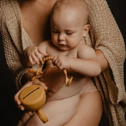 Suavinex Essence Mustard Silicone Speenhouder SXSEZ00081412 -Dirkje || Jollein || bébé-jou Verkoopwinkel colour essence soother case mango 3 3