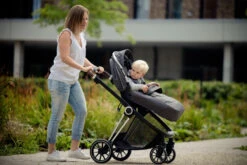 Ding Fenix Grey/Silver Kinderwagen DI-191703 -Dirkje || Jollein || bébé-jou Verkoopwinkel ding fenix grey silver kinderwagen