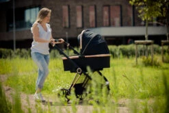 Ding Fenix Black/Rose Kinderwagen DI-191702 -Dirkje || Jollein || bébé-jou Verkoopwinkel ding fenix rose kinderwagen