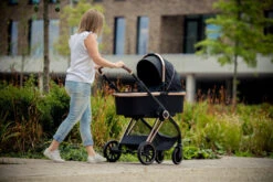 Ding Fenix Black/Rose Kinderwagen DI-191702 -Dirkje || Jollein || bébé-jou Verkoopwinkel ding fenix rose kinderwagen 1