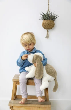 Happy Horse Dog David 28 Cm No. 2 Knuffel 132561 -Dirkje || Jollein || bébé-jou Verkoopwinkel dog david lifestyle 1