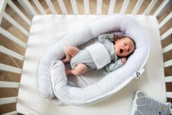 Doomoo Cocoon Chine White Babynest CO 05 -Dirkje || Jollein || bébé-jou Verkoopwinkel doomoo cocoon chine white babynest co 05 2 1