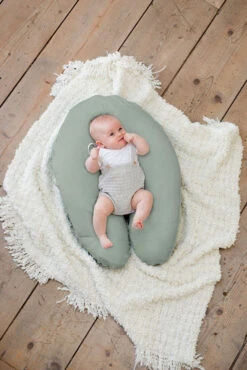 Doomoo Comfy Big Tetra Green Voedingskussenhoes 35002024 -Dirkje || Jollein || bébé-jou Verkoopwinkel doomoo comfy big tetra green voedingskussenhoes 35002024.6