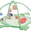 Eco Toys Kikker Activity Gym Speelkleed HC506649 -Dirkje || Jollein || bébé-jou Verkoopwinkel eco toys kikker activity gym speelkleed hc506649 1 1