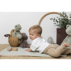 Happy Horse Frog Flex 38 Cm No. 2 Knuffel 133681 5 Happy Horse Frog Flex 38 Cm No. 2 Knuffel 133681 -Dirkje || Jollein || bébé-jou Verkoopwinkel happy horse frog flex 1