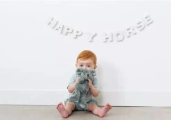 Happy Horse Mouse Mel 22 Cm Knuffel 132160 -Dirkje || Jollein || bébé-jou Verkoopwinkel happy horse mouse mel