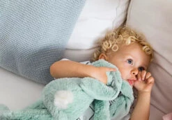 Happy Horse Rabbit Richie Mint 28 Cm No. 1 Knuffel 131694 -Dirkje || Jollein || bébé-jou Verkoopwinkel happy horse rabbit richie mint