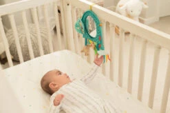 Infantino Elephant Autospiegel BK-316313 -Dirkje || Jollein || bébé-jou Verkoopwinkel infantino elephant autospiegel bk 316313 2