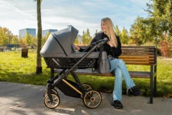Kunert Ivento Premium Gold Caramel Macchiato 2-in-1 Kinderwagen IVE-10-GOLD -Dirkje || Jollein || bébé-jou Verkoopwinkel kunert ivento premium gold caramel macchiato 2 in 1 kinderwagen ive 10 gold 7 1