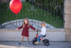 Lorelli Dallas Red Driewieler 1005050-004 -Dirkje || Jollein || bébé-jou Verkoopwinkel lorelli dallas driewieler 10