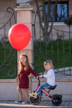 Lorelli Dallas Red Driewieler 1005050-004 -Dirkje || Jollein || bébé-jou Verkoopwinkel lorelli dallas driewieler 11