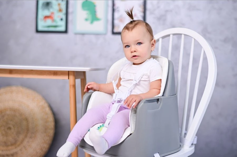 Lorelli Trick Pink Bears 3-in-1 Kinderstoel 1010049-2133 7 Lorelli Trick Pink Bears 3-in-1 Kinderstoel 1010049-2133 - Afbeelding 5