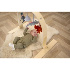 Tryco Houten Babygym TR-303011 -Dirkje || Jollein || bébé-jou Verkoopwinkel mamaloes tryco babygym 01 1