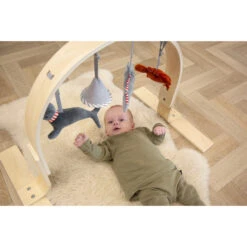Tryco Houten Babygym TR-303011 -Dirkje || Jollein || bébé-jou Verkoopwinkel mamaloes tryco babygym 02 1