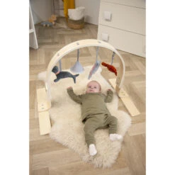 Tryco Houten Babygym TR-303011 -Dirkje || Jollein || bébé-jou Verkoopwinkel mamaloes tryco babygym 03 1