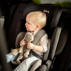 Ding Bas Roze Autostoel 9-36 Kg CS003 -Dirkje || Jollein || bébé-jou Verkoopwinkel mamaloes ding bas autostoel 9 36 kg1