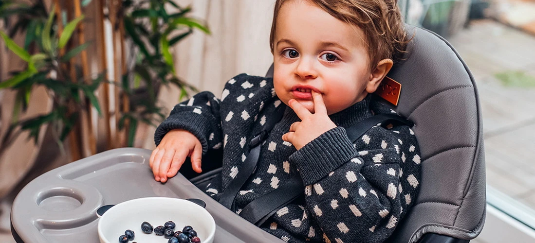 Momi Flovi Light Grey/White 2-in-1 Kinderstoel KRKA00020 9 Momi Flovi Light Grey/White 2-in-1 Kinderstoel KRKA00020 - Afbeelding 7