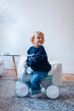 Momi Tobis Grey Ride-On Bubbles Loopfiets ROBI00043 26 Momi Tobis Grey Ride-On Bubbles Loopfiets ROBI00043 -Dirkje || Jollein || bébé-jou Verkoopwinkel momi tobis loopfiets sfeer1 1
