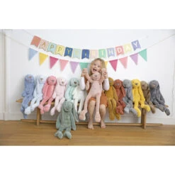 Happy Horse Rabbit Richie Groen 38 Cm No. 2 Knuffel 133110 -Dirkje || Jollein || bébé-jou Verkoopwinkel rabbit richie