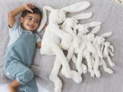 Happy Horse Rabbit Richie Ivoor Wit 28 Cm No. 1 Knuffel 17344 -Dirkje || Jollein || bébé-jou Verkoopwinkel rabbit richie wit sfeer 1 1