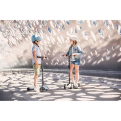 Scoot And Ride Ash Highwaykick 5 Step SR-96440 -Dirkje || Jollein || bébé-jou Verkoopwinkel scoot and ride ash highwaykick 5 step sr 96440 sfeer