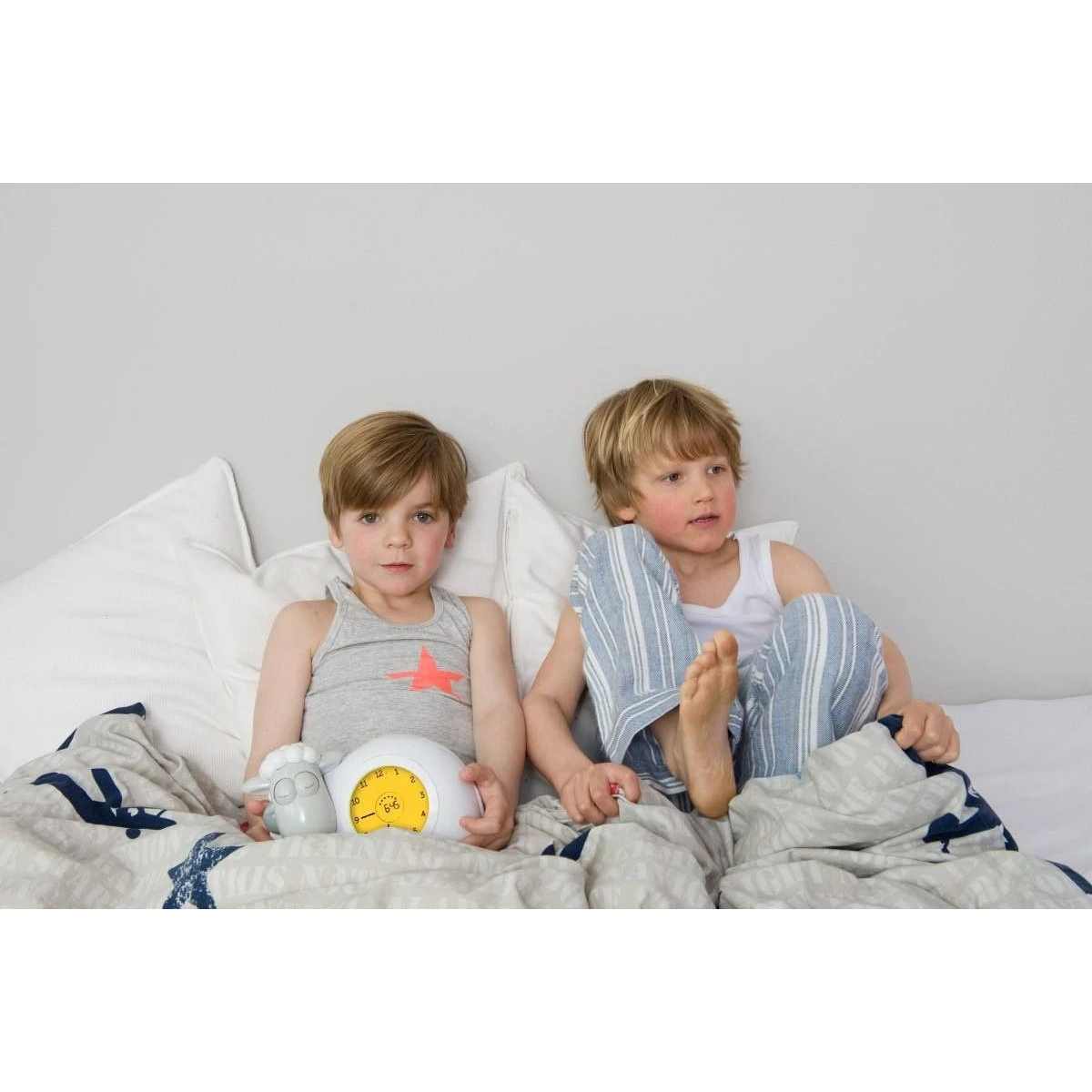 Zazu Sam Slaaptrainer Schaap Zilver Kinderwekker Limited Edition 15 Zazu Sam Slaaptrainer Schaap Zilver Kinderwekker Limited Edition - Afbeelding 13