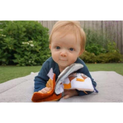 Tryco Fantasie Activiteiten Buggyboek TR-243302 -Dirkje || Jollein || bébé-jou Verkoopwinkel tryco fantasie activiteiten buggyboek tr 243302 1