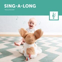 Zazu Danny De Hond Kiekeboe Knuffel Met Muziek NL ZA-DANNY-01-D 17 Zazu Danny De Hond Kiekeboe Knuffel Met Muziek NL ZA-DANNY-01-D -Dirkje || Jollein || bébé-jou Verkoopwinkel zazu danny the dog kiekeboe knuffel met muziek nl za danny 01 d 6