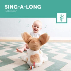 Zazu Danny The Dog Kiekeboe Knuffel Met Muziek EN ZA-DANNY-01 -Dirkje || Jollein || bébé-jou Verkoopwinkel zazu danny the dog kiekeboe knuffel met muziek za danny 01 3