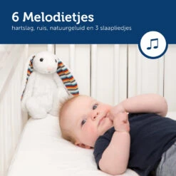 Zazu Heartbeat Bibi Konijn Knuffel Met Geluid ZA-BIBI-01 -Dirkje || Jollein || bébé-jou Verkoopwinkel zazu heartbeat bibi konijn knuffel met geluid za bibi 01