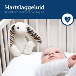 Zazu Heartbeat Bibi Konijn Knuffel Met Geluid ZA-BIBI-01 -Dirkje || Jollein || bébé-jou Verkoopwinkel zazu heartbeat bibi konijn knuffel met geluid za bibi 01 1